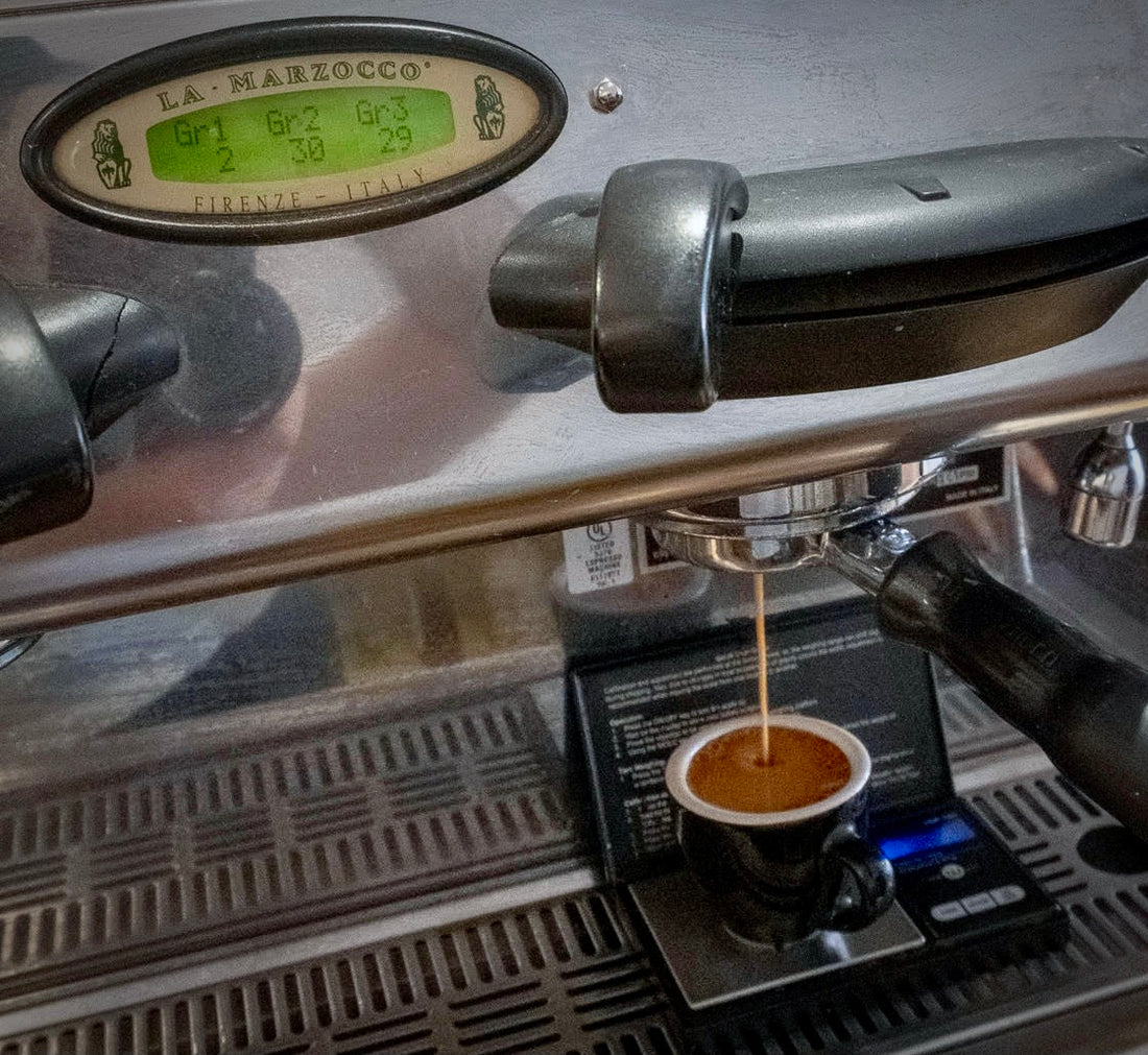 Espresso Bar Mise en Place