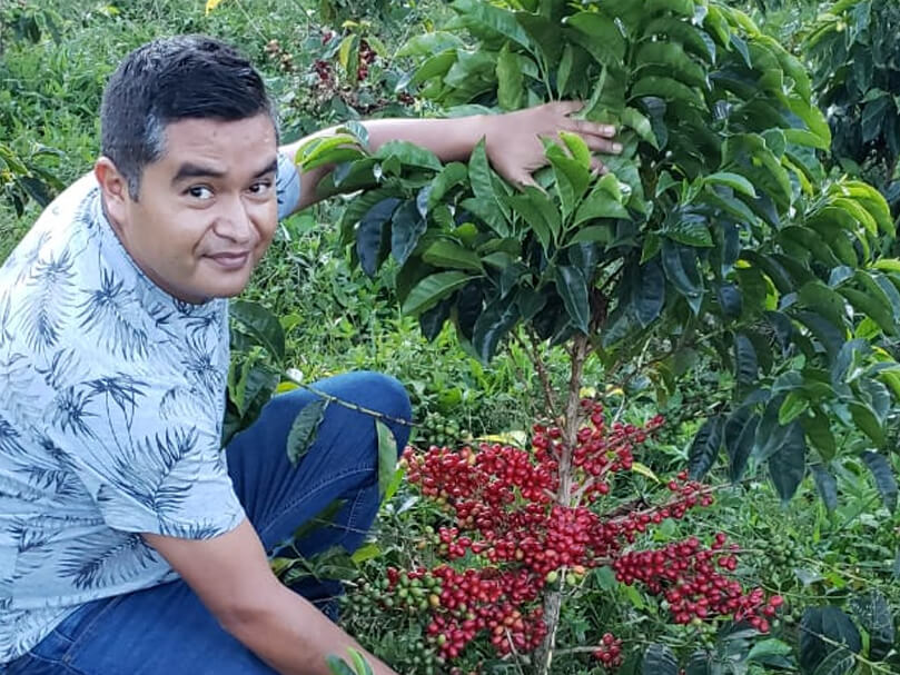 From Huila with Berries: Inside the Wild World of Terra Pink Bourbon Natural