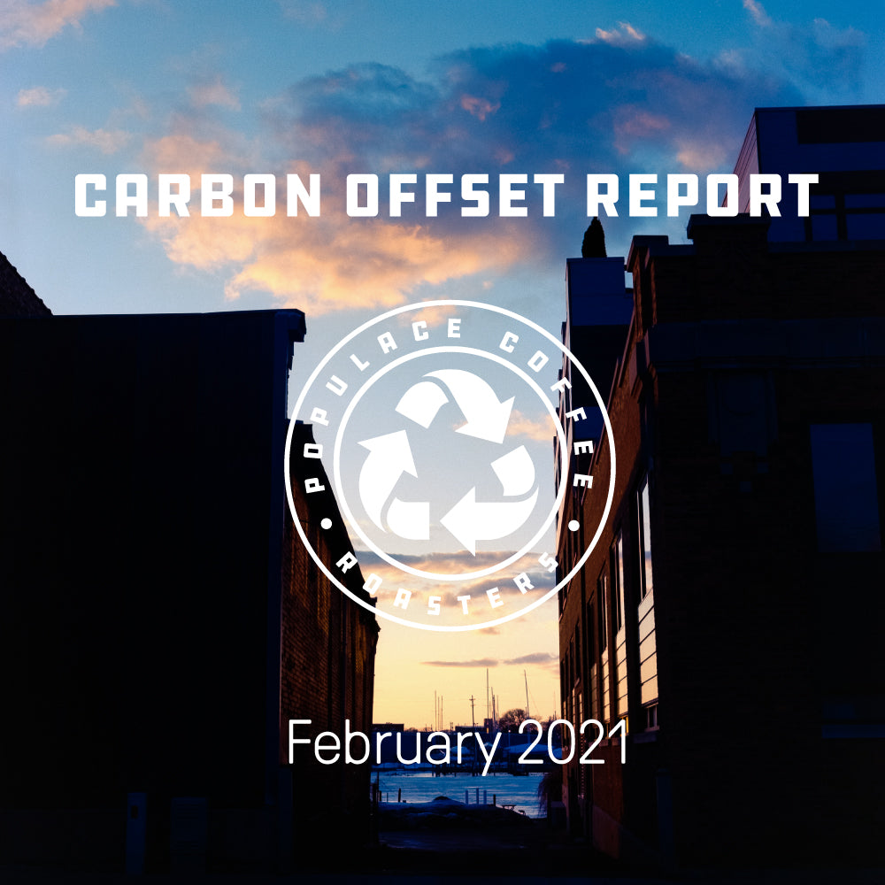 Carbon Offset report | February 2021