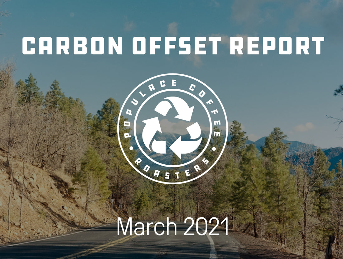 Carbon Offset Report | March 2021