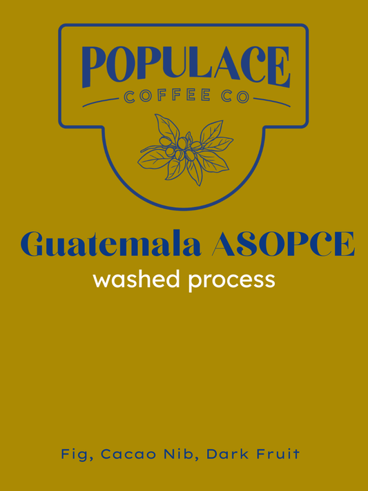 Guatemala | Cimarron Organic ASOPCE