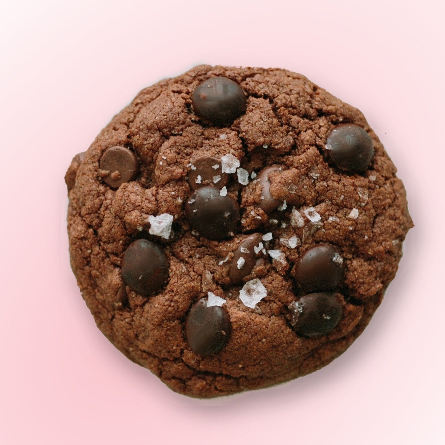 Chocolate Fudge Cookie Bundle